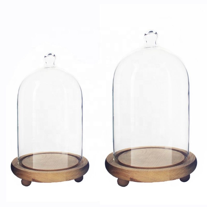 Buy Wholesale Glass Cloche Bell Jar Large Small Bell Glass