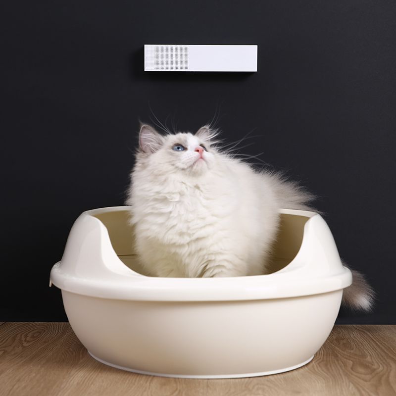 Buy Wholesale Petkit Pet Smart Whole House Deodorizer