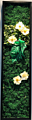 Preserved Moss