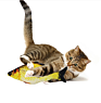 Electronic Interactive Sustainable Dancing Cat Fishing Cat Worm Toy