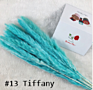Home Decorative Flower Small Pampas Grass Dried Pampas Grass Natural Fresh Pampas Grass for Decoration