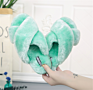 Latest Cross Band Plush Slipper Female Soft Fancy Warm Slippers for Ladies
