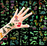 Dinosaur Temporary Tattoos for Kids, Dinosaur Stickers, Dinosaur Birthday Party Supplies Decorations