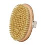 Body Brush. 100% Natural Vegan Agave Sisal Bristles for Dry Skin Brushing, Exfoliate Dead Skin, Detox, Stimulate Circulation