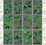 Dinosaur Temporary Tattoos for Kids, Dinosaur Stickers, Dinosaur Birthday Party Supplies Decorations