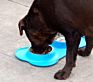 Luxury Silicone Bone Shaped Pet Twins Double Stainless Steel Dog Melamine Bowl for Food Water