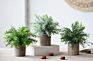 3 Pack Mini Potted Faux Greenery Artificial Plastic Eucalyptus Rosemary Plants for Home Office Desk Room Decoration