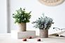 3 Pack Mini Potted Faux Greenery Artificial Plastic Eucalyptus Rosemary Plants for Home Office Desk Room Decoration