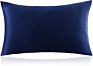 Anti Bacterial Various Colors Washable 19 Mm 100 Pure Silk Pillowcase Mulberry Silk Pillow Case with Box