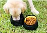 Wholesales Outdoor Travel Pet Dog Portable Collapsible Foldable Waterproof Fabric Canvas Dog Bowl Pet Outdoor Dog Double Bowl