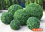 Artificial Boxwood Hedge Indoor Outdoor Using Topiary Grass Boxwood Ball for Home Garden Decoration