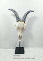 Resin Animal Cow Bull Buffalo Sheep Lamb Deer Skull Head with Stand House Room Tabletop Decorative Ornaments Statues Figurines