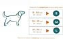 Luxury 100% Cotton Woven Rope Leather Dog Collar Trim Soft Adjustable Matching Rope Lead Leash