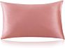 Anti Bacterial Various Colors Washable 19 Mm 100 Pure Silk Pillowcase Mulberry Silk Pillow Case with Box
