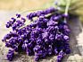 Organic Dry Lavender Buds Flower Tea Dried Lavender Herb Sleep