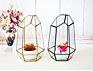 Typ3134 Modern Rustic Art Style Hanging Air Plant Holder Himmeli Geometric Planter Metal Airplant Rack Tillandsia Hanger
