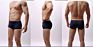 Traceless Ice Silk Quick Dry Breathable Men Boxers Underwear