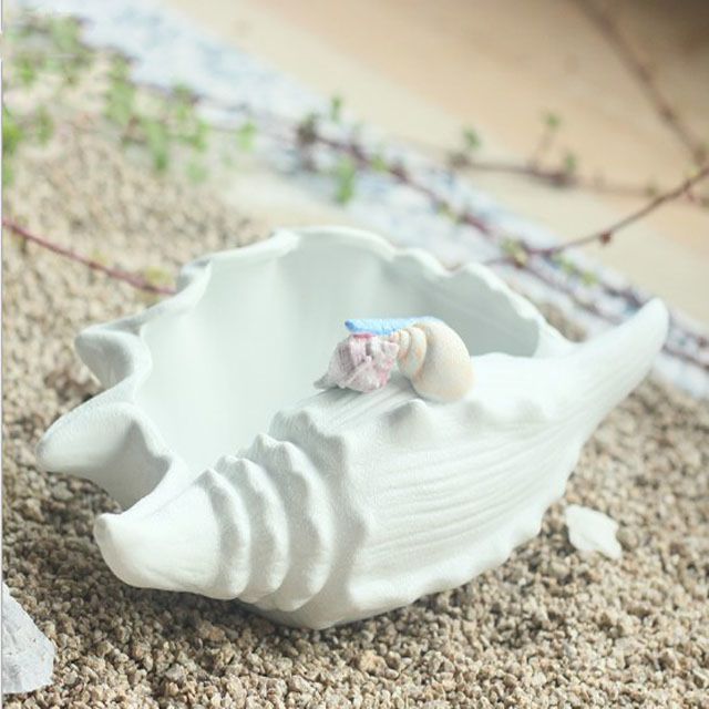Modern Conch Shape White Ceramic Flower Plant Pot Decorative Indoor Flower Pot Desktop Planter