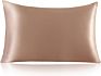 Anti Bacterial Various Colors Washable 19 Mm 100 Pure Silk Pillowcase Mulberry Silk Pillow Case with Box