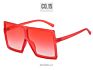 Jheyewear Plastic Big Square Oversized Colorful Women Men Sun Glasses Shades Sunglasses