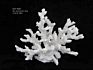 Decorative Polyresin White Coral Flowers Price For