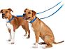 Kingtale Pet Products Correa Para Perros Nylon Dog Leash Hook for Daily Walk
