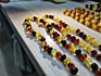 Real Baltic Amber Beads Necklace Amber Baby Teething Necklace