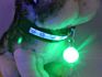 Colorful Safety Clip-On Led Pet Light