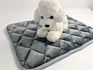 Popular Customized Anti-Slip Waterproof Bottom Dog Pet Mat