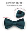 Green Velvet Dog Accessories Luxury Bowtie Collar Dog Bow Tie
