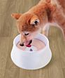 Dropshipping Automatic Drinking Bowl for Dogs Non-Wet Mouth Cat Water Basin Pet Splash-Proof Cat Bowl