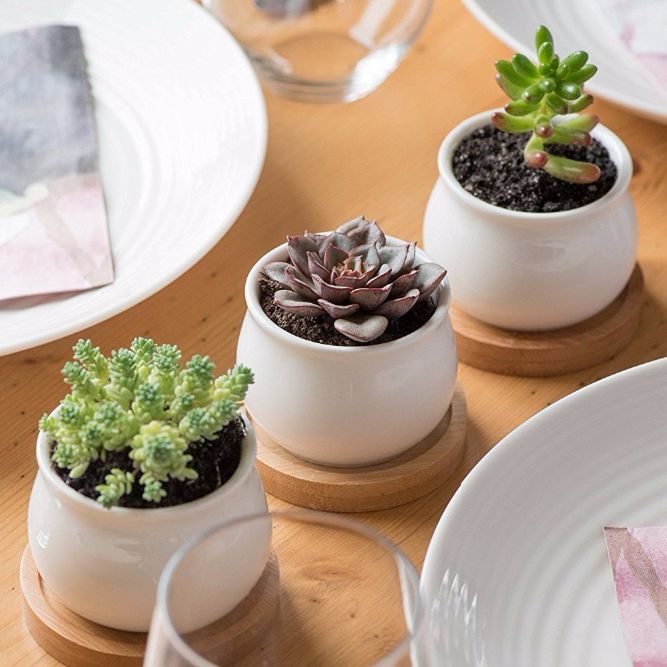 3 Piece Mini White Ceramic Succulent Planter Pot Set with Bamboo Bases