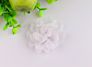 Flower Hair Bows Chiffon Flower Clips Ribbon Lined Clips Tiny Hair Clips for Baby Girls Infants Toddlers Kids 12 Colors