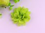 Flower Hair Bows Chiffon Flower Clips Ribbon Lined Clips Tiny Hair Clips for Baby Girls Infants Toddlers Kids 12 Colors
