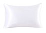 Anti Bacterial Various Colors Washable 19 Mm 100 Pure Silk Pillowcase Mulberry Silk Pillow Case with Box