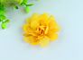 Flower Hair Bows Chiffon Flower Clips Ribbon Lined Clips Tiny Hair Clips for Baby Girls Infants Toddlers Kids 12 Colors