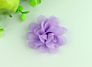 Flower Hair Bows Chiffon Flower Clips Ribbon Lined Clips Tiny Hair Clips for Baby Girls Infants Toddlers Kids 12 Colors