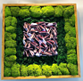Preserved Moss