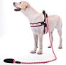 Jxanry Heavy Strong Multicolor Nylon Slip Rope Heavy Duty Thick Dog Leash