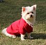 Soft Windproof Warm Small Big Dog Clothes with Leash Hole Autumn Spring Sweater Red Blank Hoodies Clothing for Pet Cats