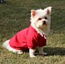 Soft Windproof Warm Small Big Dog Clothes with Leash Hole Autumn Spring Sweater Red Blank Hoodies Clothing for Pet Cats