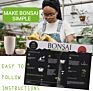 Diy Indoor Bonsai Tree Starter Kit with 4 Seeds Types Includes Seed Pot Peat Soil for Kids and Adult Crafts