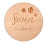 World Map Puzzle Wooden Monthly Milestone Cards Laser Cut Engraving Wood Baby Milestone Discs