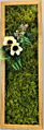 Preserved Moss