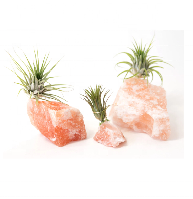 Natural Pink Crystal Salt Air Plant Holder Pots