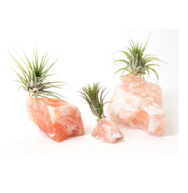 Natural Pink Crystal Salt Air Plant Holder Pots