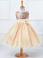 Little Girls' Sequin Mesh Tulle Dress Sleeveless Flower Party Ball Gown Girl Night Dress