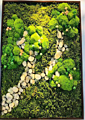 Preserved Moss