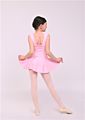 Girls Leotard Sleeveless Ballet Princess Dress Girls Leotard Ballet Dress Dancewear Skirt