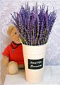 22Inch Dried Lavender Bundle Flowers Freshly Harvested Real 100% Natural Lavender Bunch for Diy Home Office Party Wedding Deco